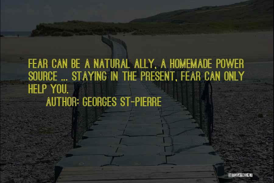 Homemade Quotes By Georges St-Pierre