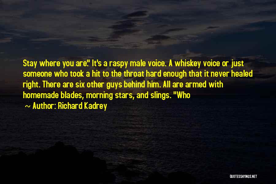 Homemade Quotes By Richard Kadrey
