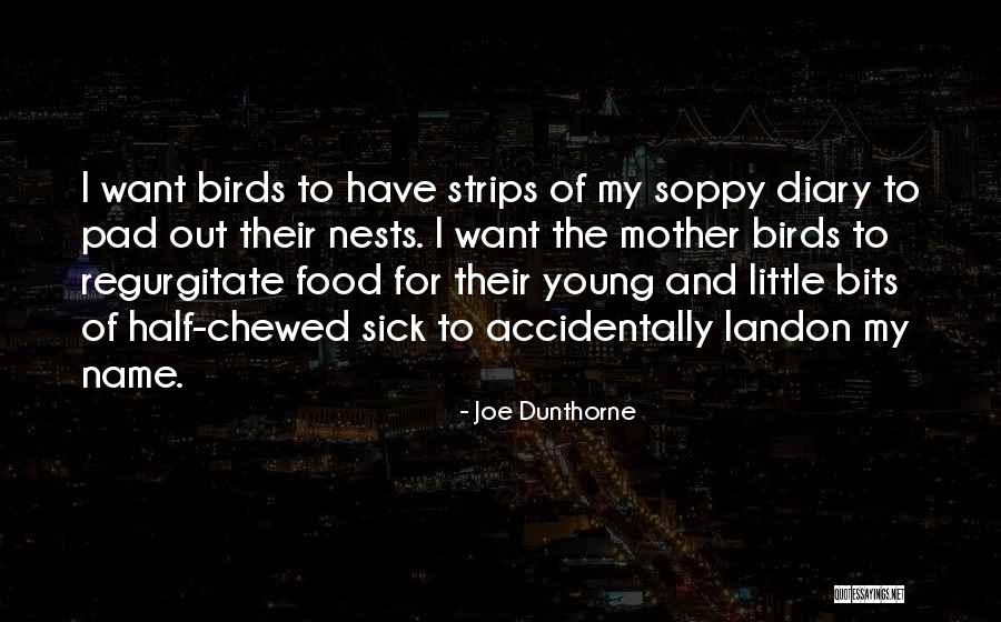 Homenagem A Idosos Quotes By Joe Dunthorne Homenagem A Idosos Quotes By Joe Dunthorne
