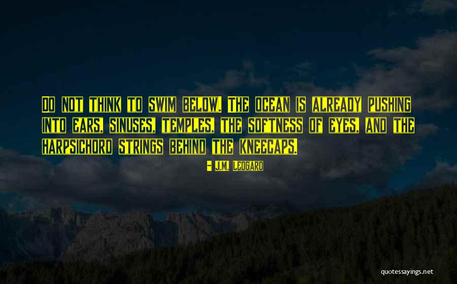 Homer Hickam Famous Quotes By J.M. Ledgard Homer Hickam Famous Quotes By J.M. Ledgard