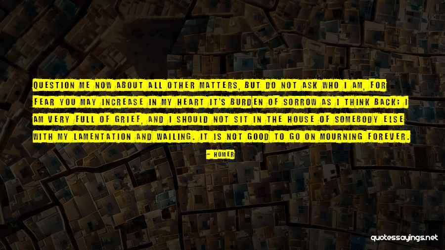 Homer Quotes 1420448 Homer Quotes 1420448