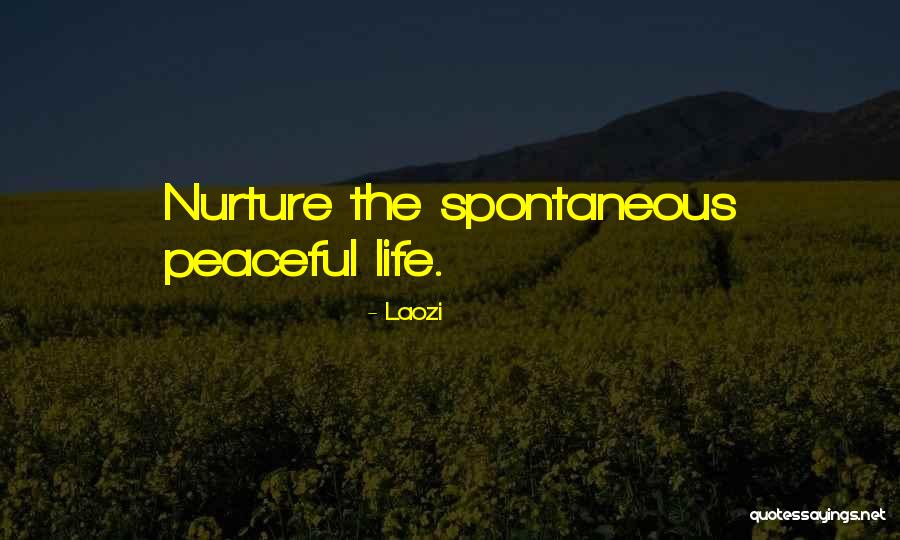 Homeroom Activities Quotes By Laozi Homeroom Activities Quotes By Laozi