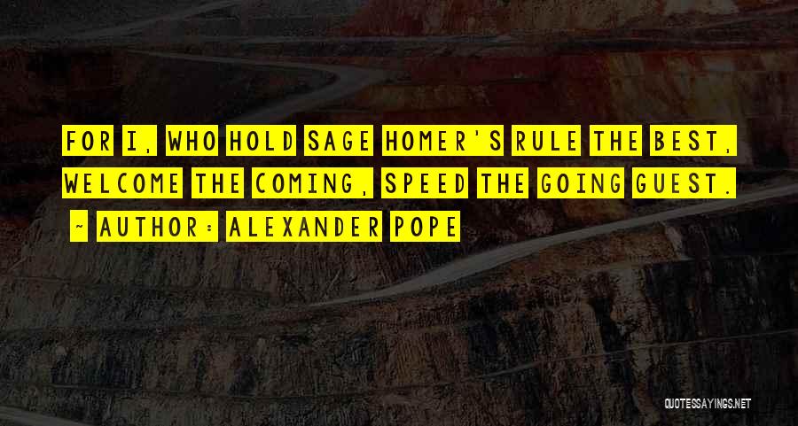 Homer's Best Quotes By Alexander Pope