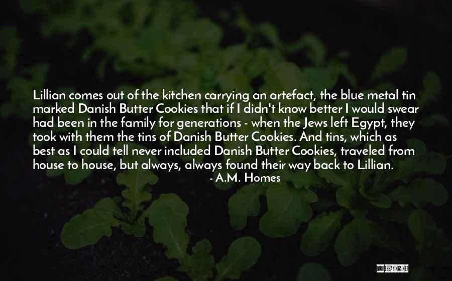 Homes And Family Quotes By A.M. Homes Homes And Family Quotes By A.M. Homes