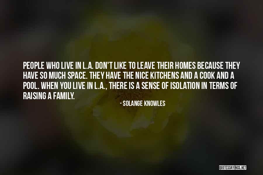 Homes And Family Quotes By Solange Knowles