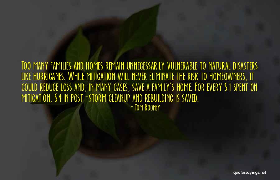 Homes And Family Quotes By Tom Rooney Homes And Family Quotes By Tom Rooney