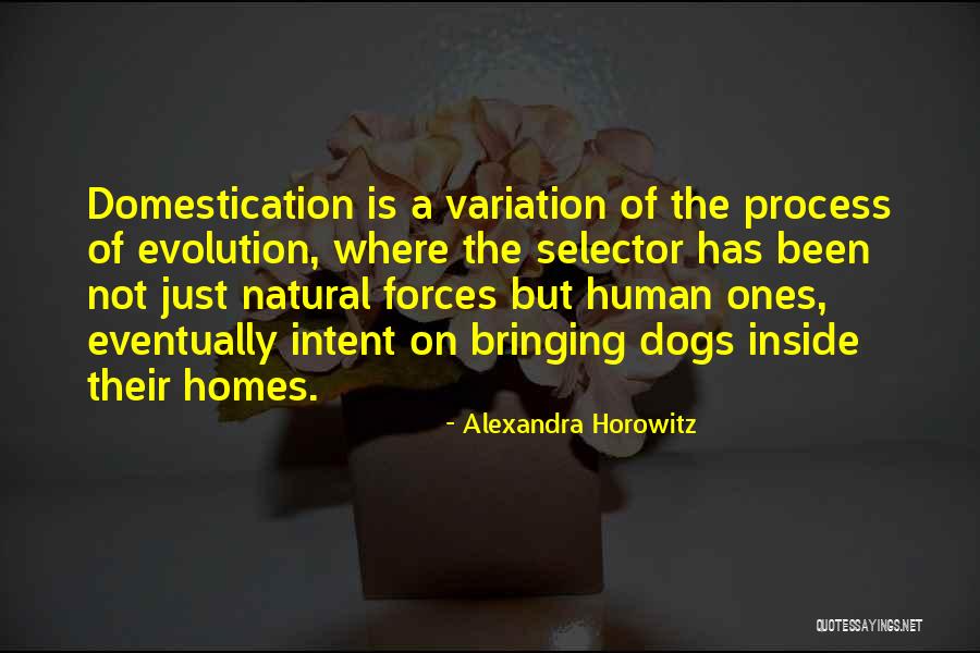 Homes Not Quotes By Alexandra Horowitz Homes Not Quotes By Alexandra Horowitz