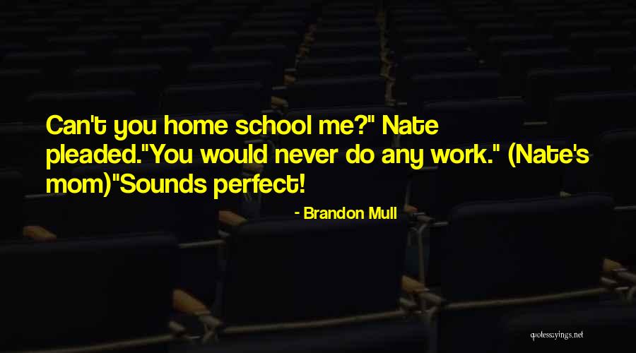 Homeschool Quotes By Brandon Mull