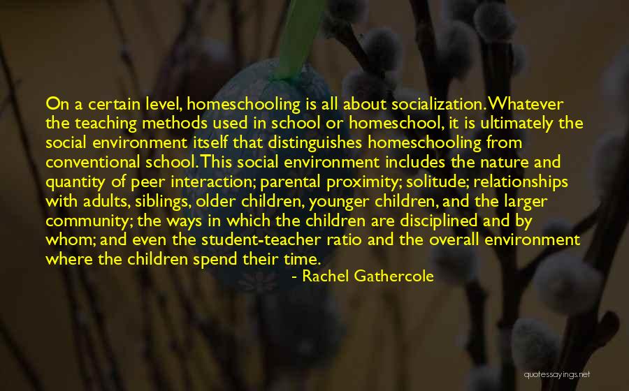 Homeschool Quotes By Rachel Gathercole