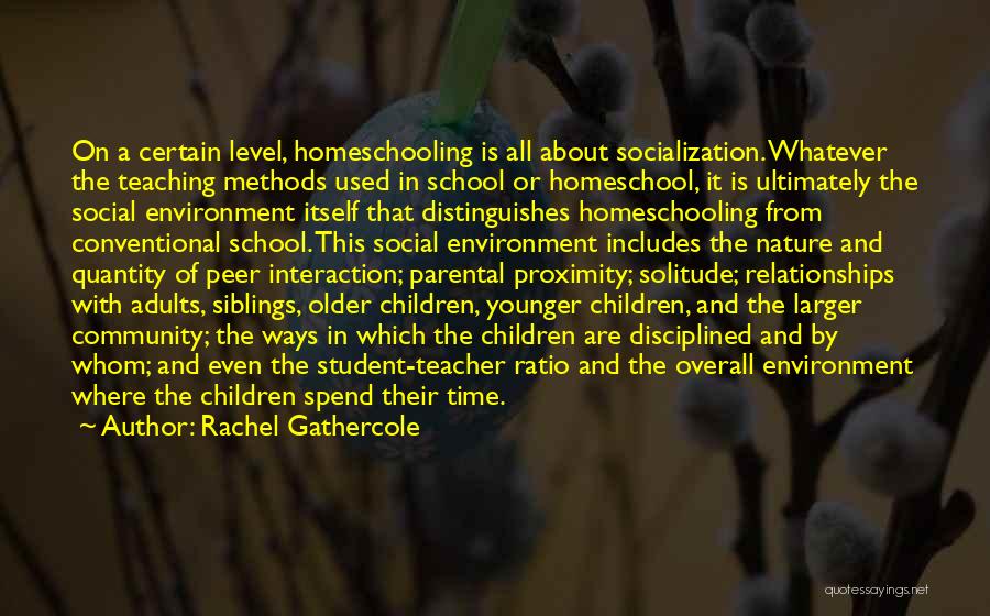 Homeschooling And Socialization Quotes By Rachel Gathercole