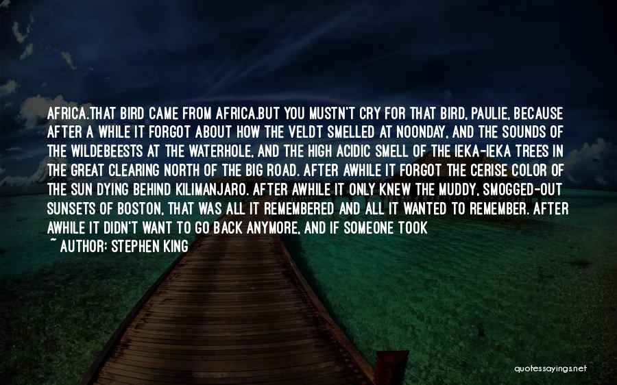 Homesick Quotes By Stephen King