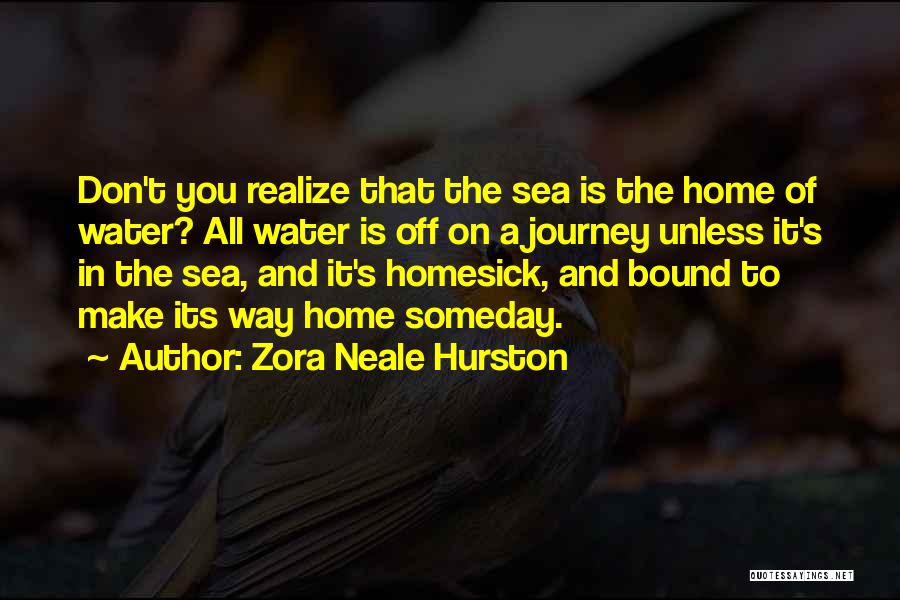 Homesick Quotes By Zora Neale Hurston