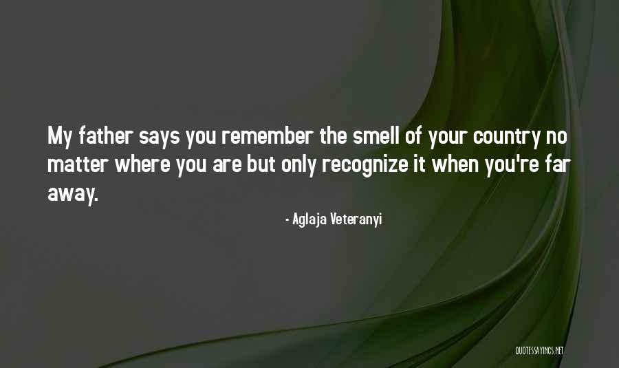 Homesickness Quotes By Aglaja Veteranyi Homesickness Quotes By Aglaja Veteranyi