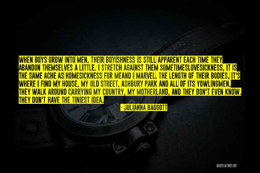 Homesickness Quotes By Julianna Baggott