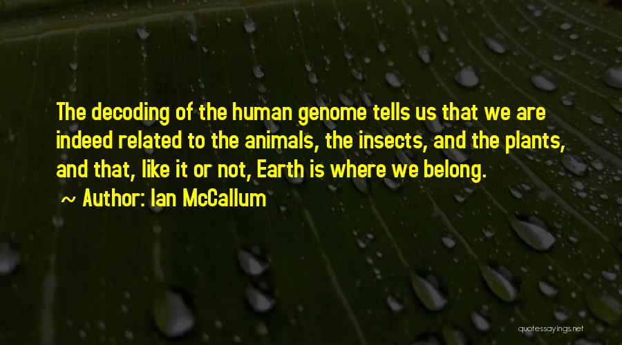 Homestuck Ancestors Quotes By Ian McCallum