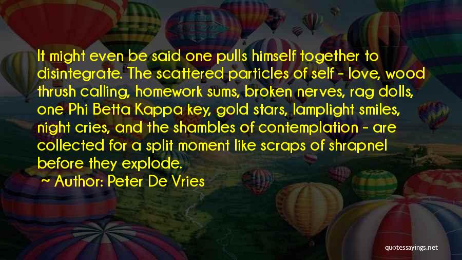 Homework Quotes By Peter De Vries