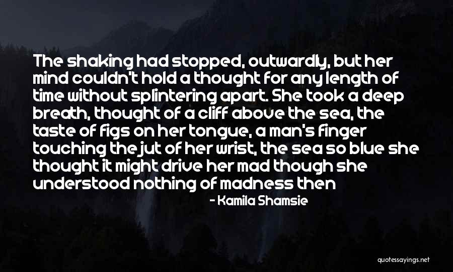 Homeworks Construction Quotes By Kamila Shamsie Homeworks Construction Quotes By Kamila Shamsie