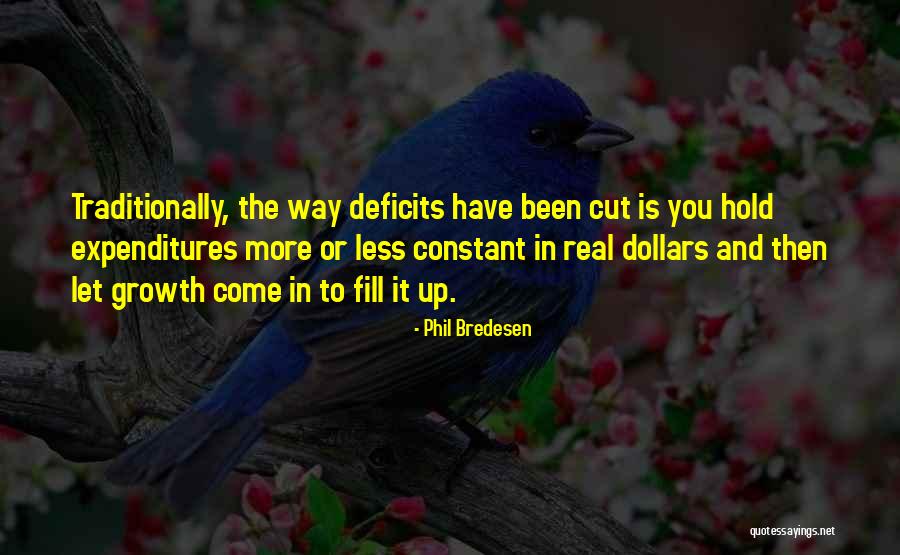 Homeyra Sadaghiani Quotes By Phil Bredesen Homeyra Sadaghiani Quotes By Phil Bredesen