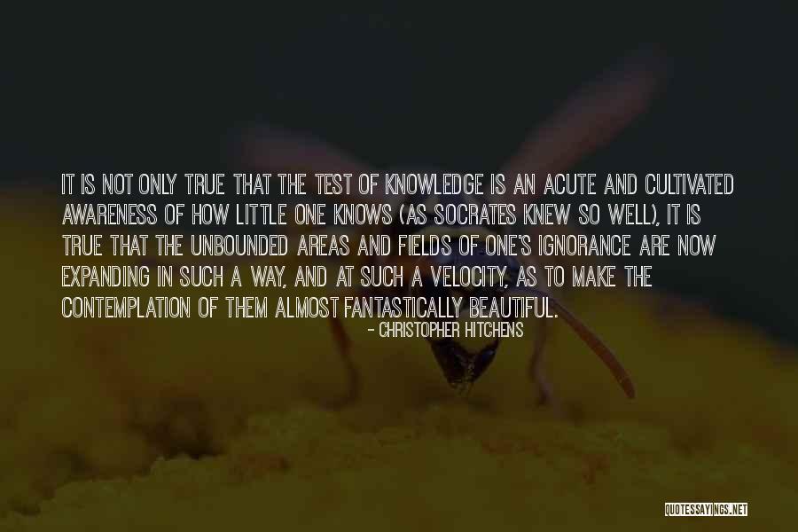 Homildon Quotes By Christopher Hitchens Homildon Quotes By Christopher Hitchens