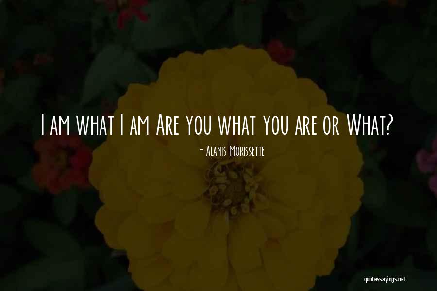 Hominidos Imagenes Quotes By Alanis Morissette Hominidos Imagenes Quotes By Alanis Morissette