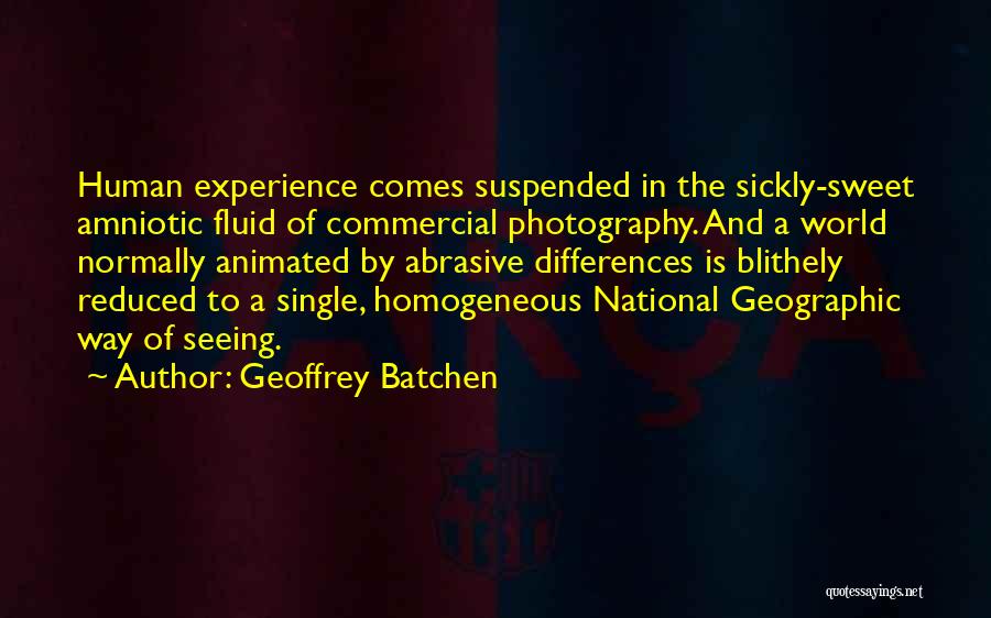 Homogeneous Quotes By Geoffrey Batchen