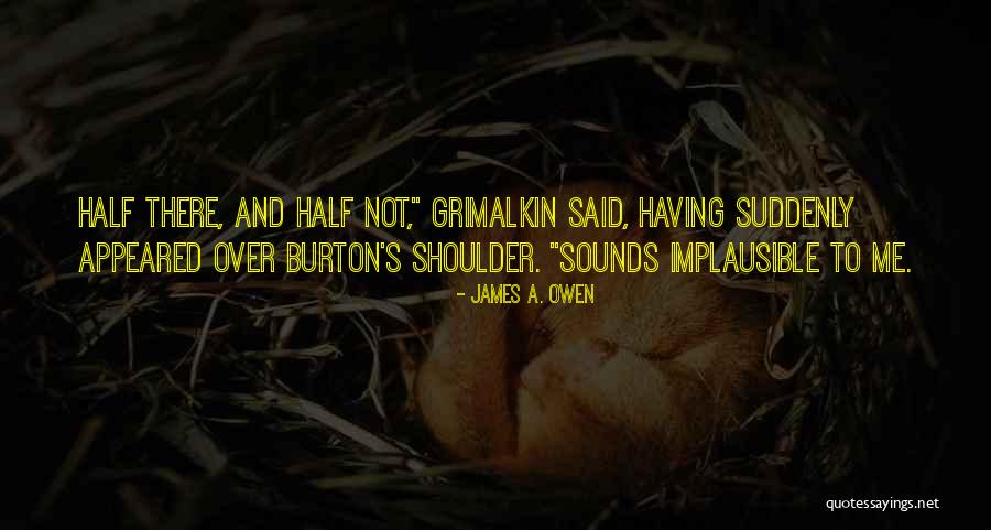 Homophile League Quotes By James A. Owen Homophile League Quotes By James A. Owen