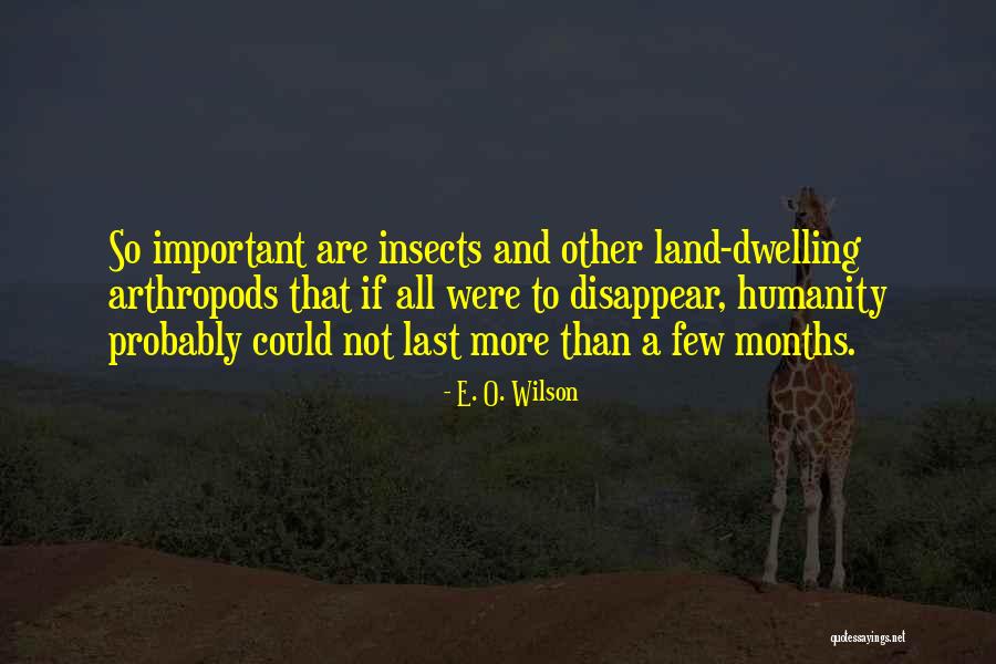 Homophilic Def Quotes By E. O. Wilson Homophilic Def Quotes By E. O. Wilson