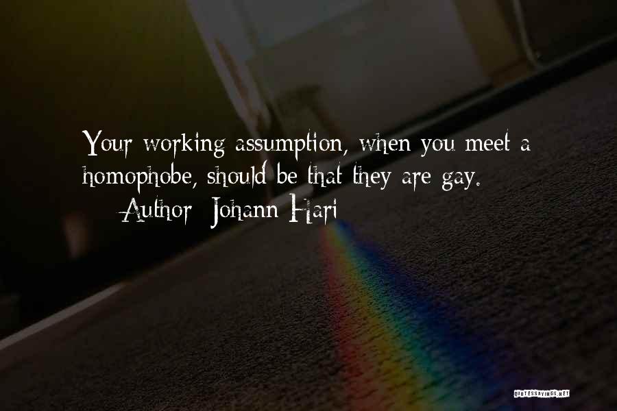 Homophobia Quotes By Johann Hari