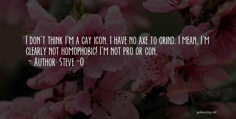 Homophobic Quotes By Steve-O