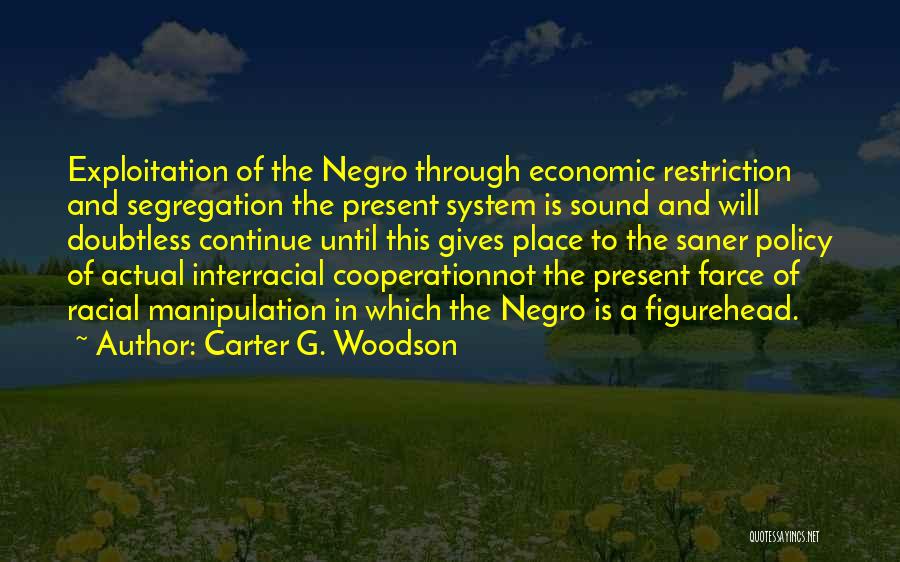 Homophones Quotes By Carter G. Woodson