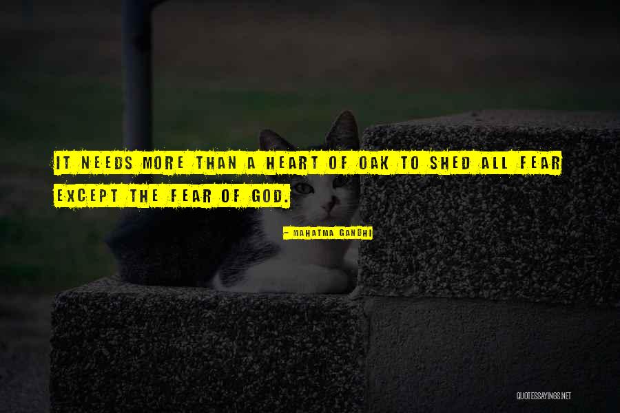 Homosexuality And The Bible Quotes By Mahatma Gandhi Homosexuality And The Bible Quotes By Mahatma Gandhi