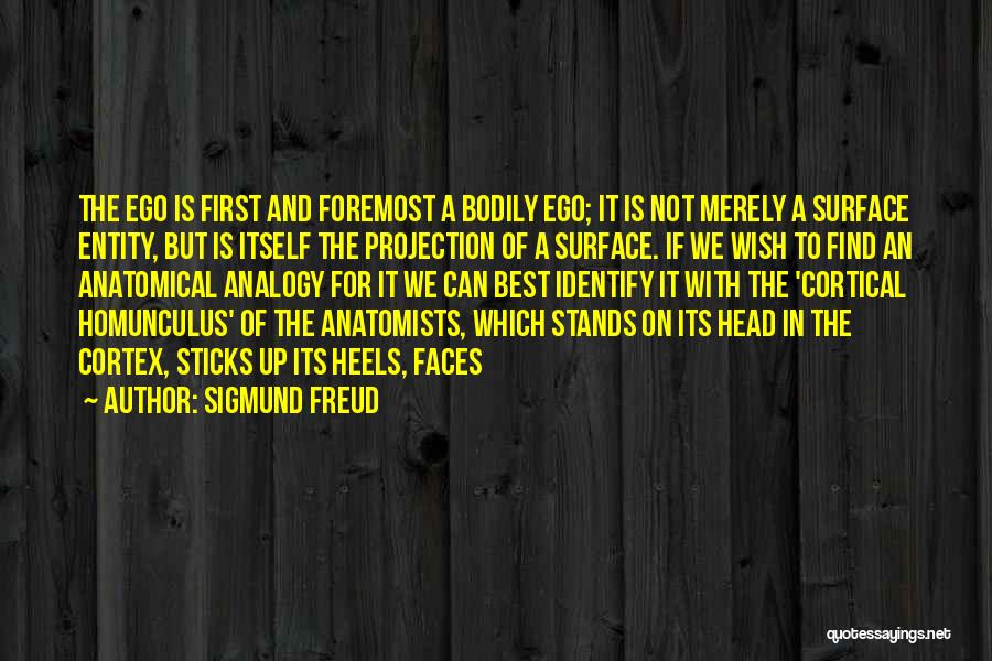 Homunculus Quotes By Sigmund Freud