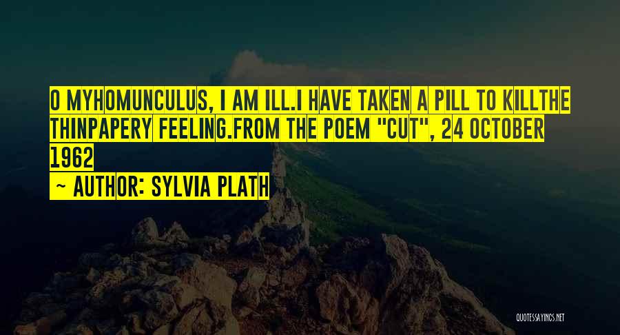 Homunculus Quotes By Sylvia Plath