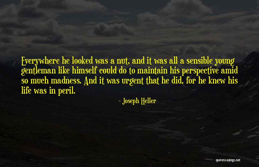 Honami Sato Quotes By Joseph Heller Honami Sato Quotes By Joseph Heller