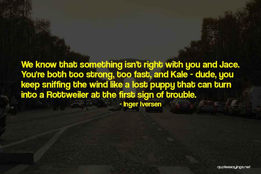 Hondtune Quotes By Inger Iversen Hondtune Quotes By Inger Iversen