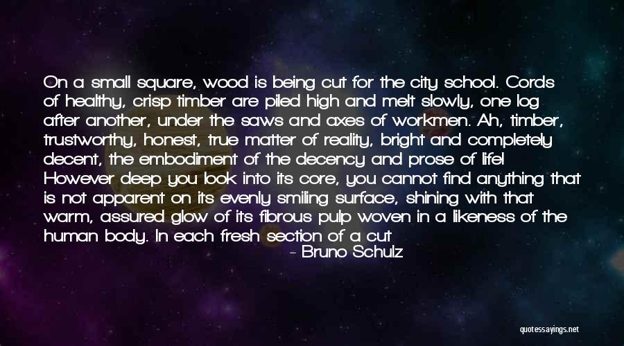 Honest And Trustworthy Quotes By Bruno Schulz