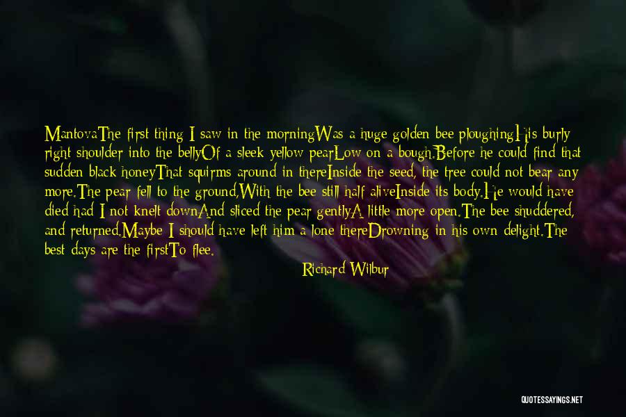 Honey Bear Quotes By Richard Wilbur Honey Bear Quotes By Richard Wilbur