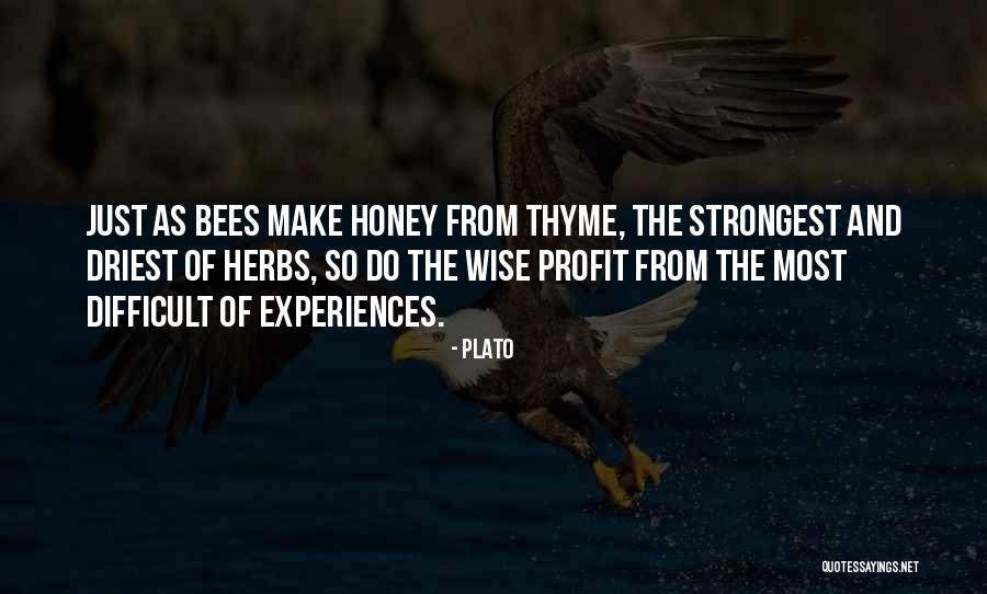 Honey Bees Quotes By Plato Honey Bees Quotes By Plato