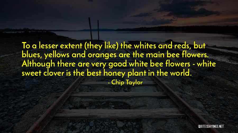 Honey & Clover Quotes By Chip Taylor