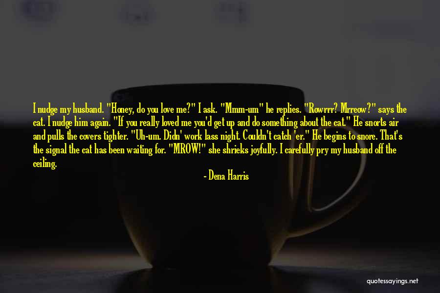 Honey I Love You Quotes By Dena Harris Honey I Love You Quotes By Dena Harris