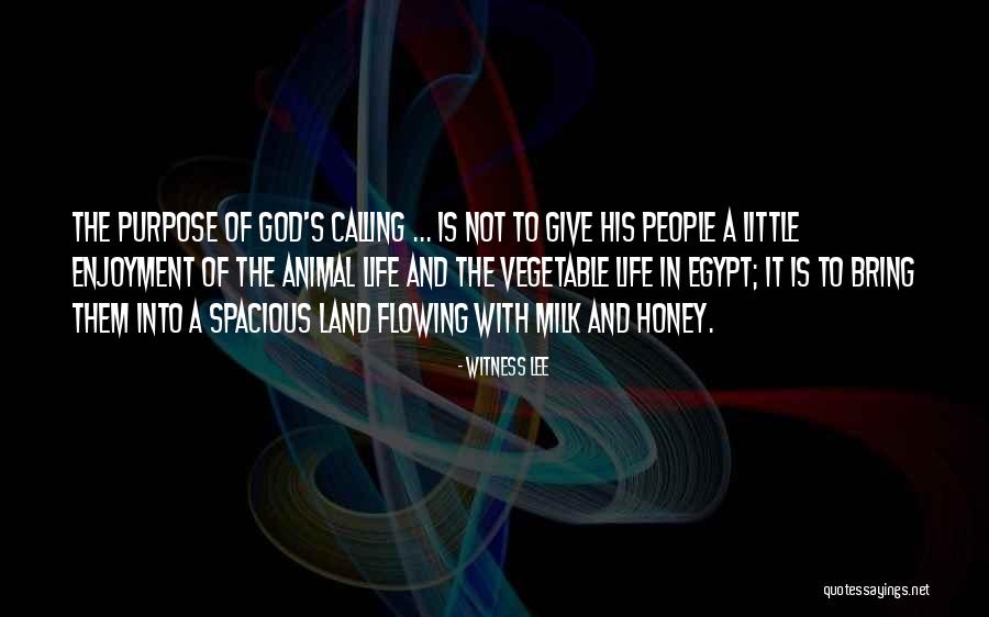 Honey Is Life Quotes By Witness Lee Honey Is Life Quotes By Witness Lee