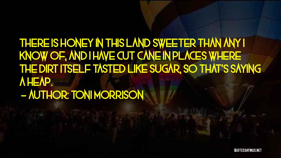 Honey Quotes By Toni Morrison