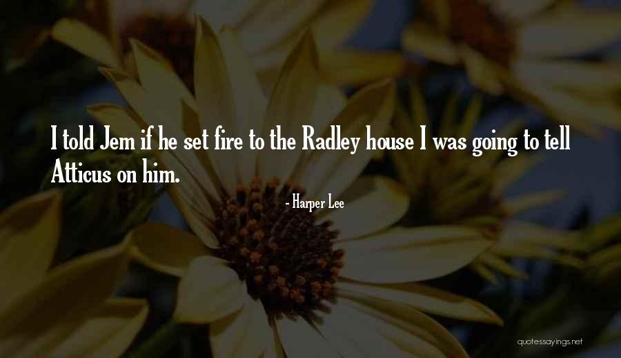 Honeybee Democracy Quotes By Harper Lee Honeybee Democracy Quotes By Harper Lee