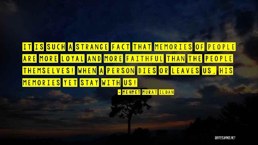 Honeychile Hairlove Quotes By Mehmet Murat Ildan Honeychile Hairlove Quotes By Mehmet Murat Ildan