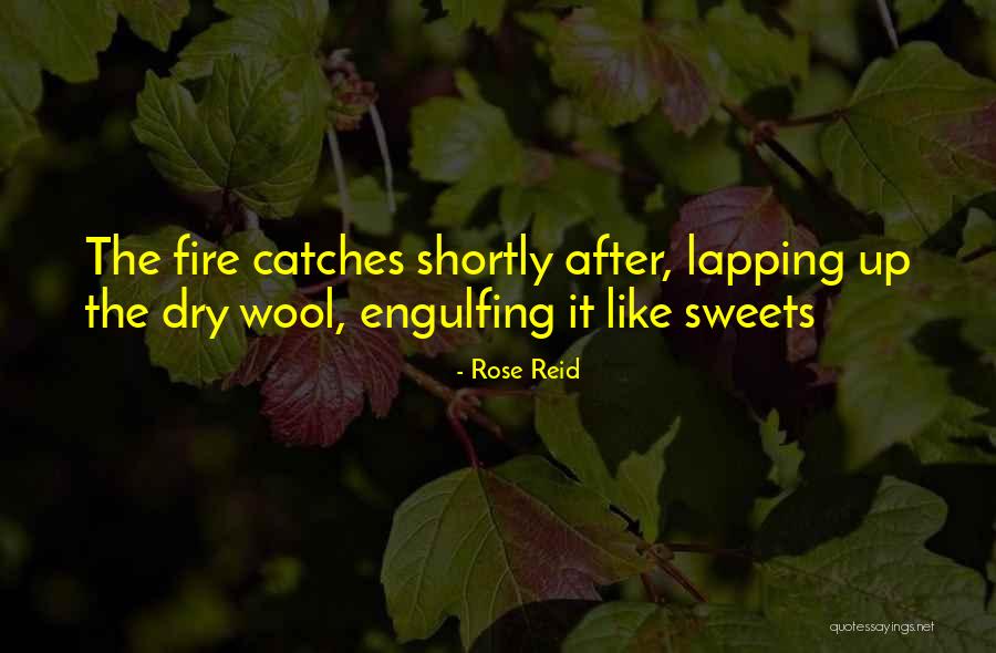 Honeycrisp Season Quotes By Rose Reid Honeycrisp Season Quotes By Rose Reid