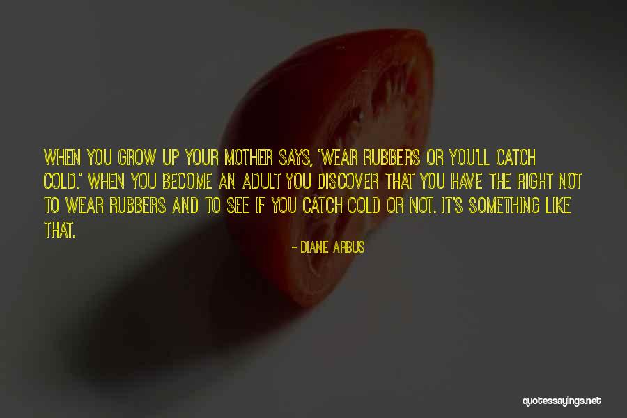 Honeysett Family Manor Quotes By Diane Arbus Honeysett Family Manor Quotes By Diane Arbus