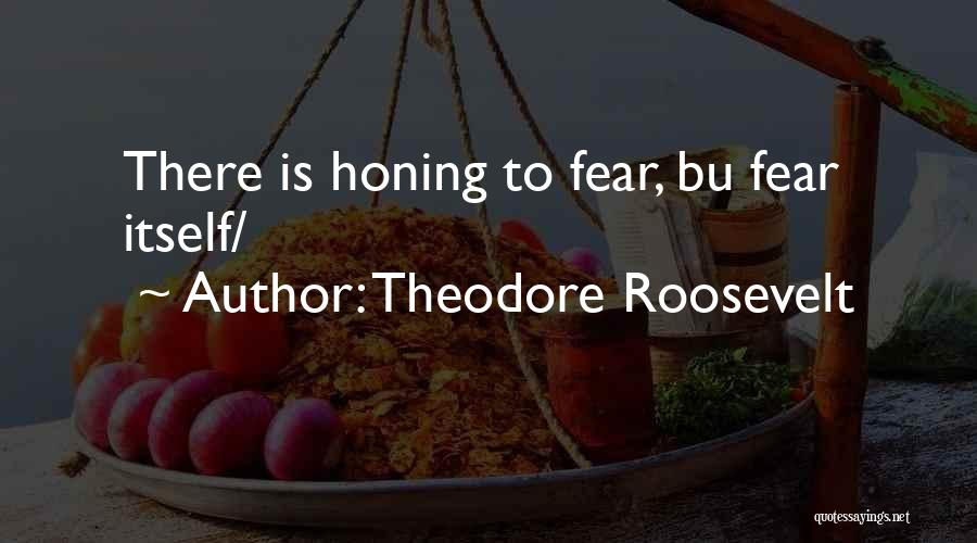 Honing Quotes By Theodore Roosevelt