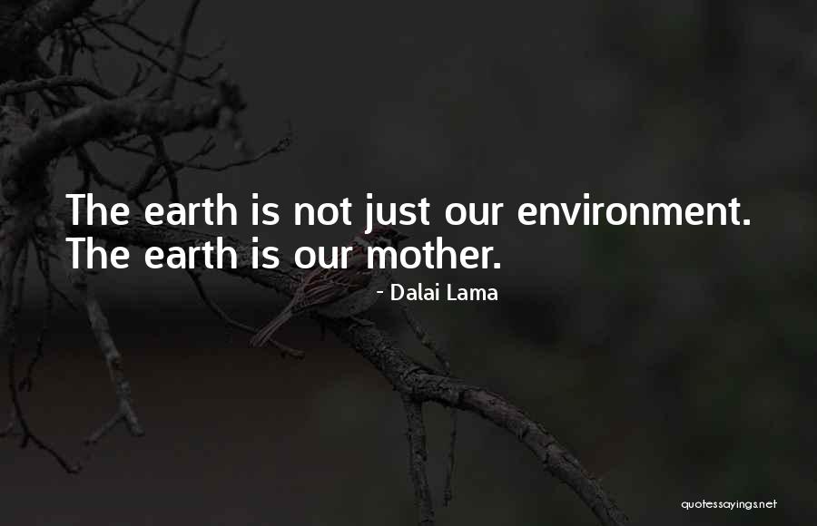 Honohan Quotes By Dalai Lama