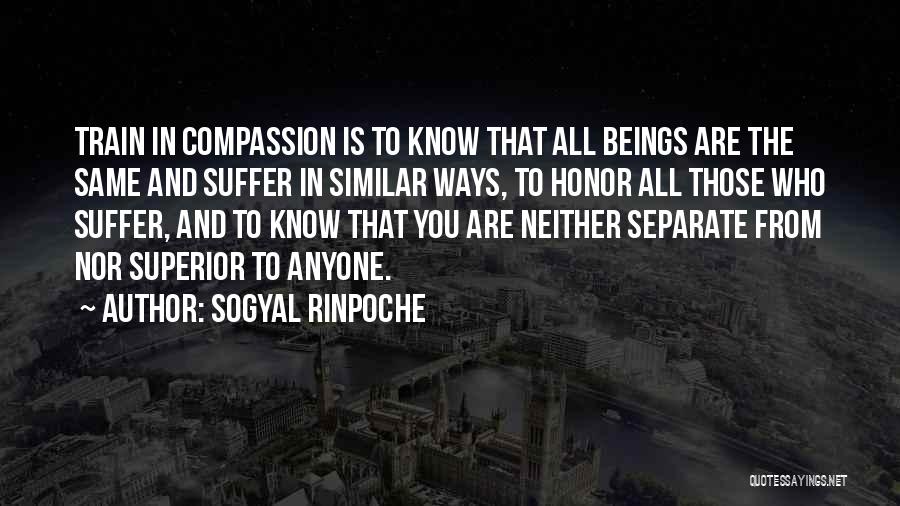 Honor To Know You Quotes By Sogyal Rinpoche