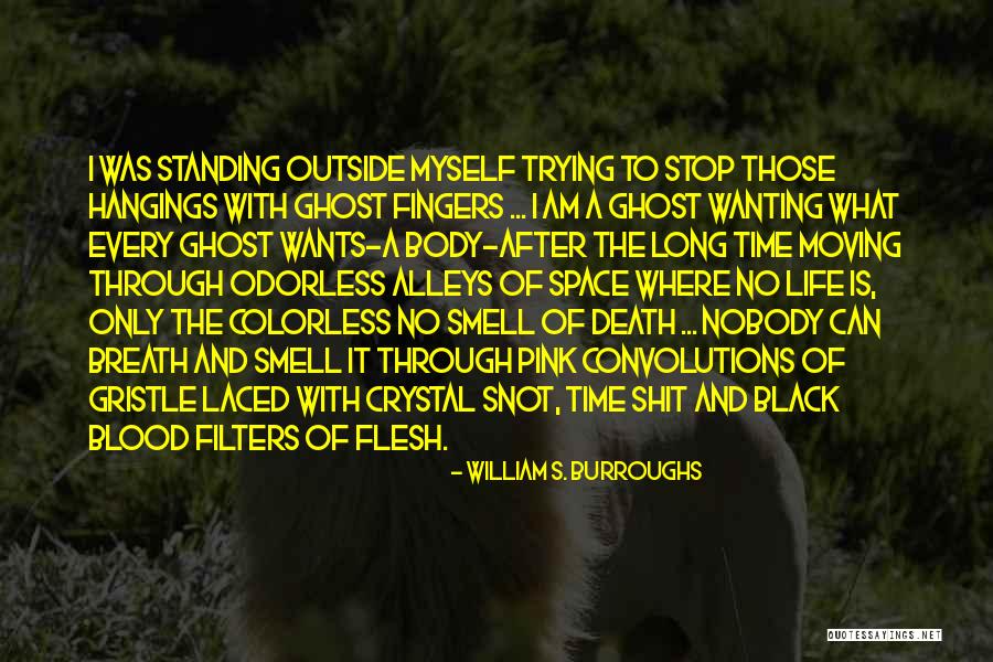Honorarios En Quotes By William S. Burroughs Honorarios En Quotes By William S. Burroughs